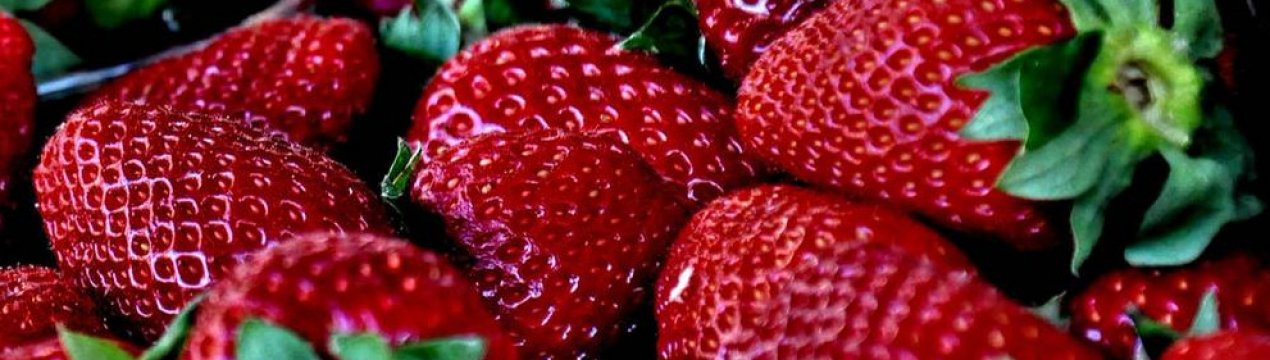 Клубника Зефир Описание Сорта Фото Отзывы Садоводов