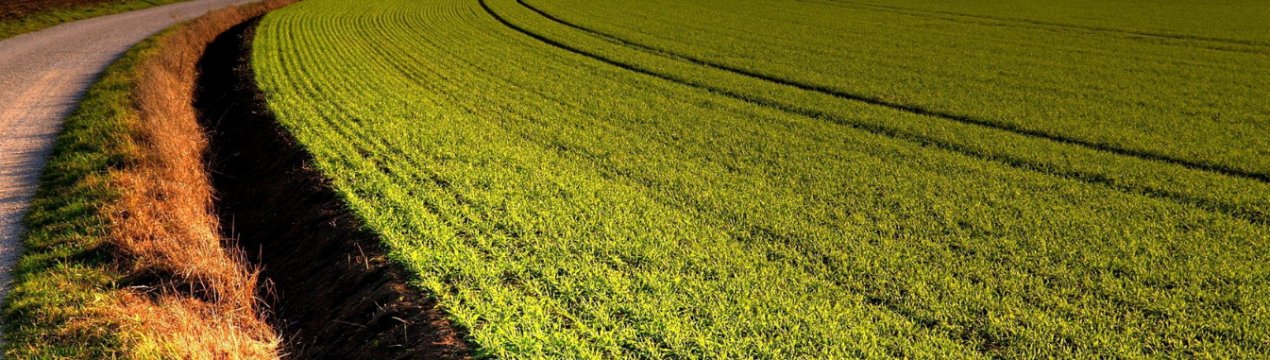 В Британії — падіння продажів сільгоспугідь