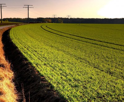 В Британії — падіння продажів сільгоспугідь