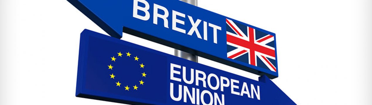 Brexit без угоди може дуже боляче вдарити по скотарству Північної Ірландії