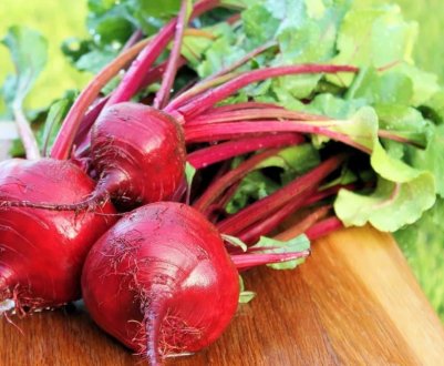 Українська компанія Cygnet завершила посів цукрових буряків