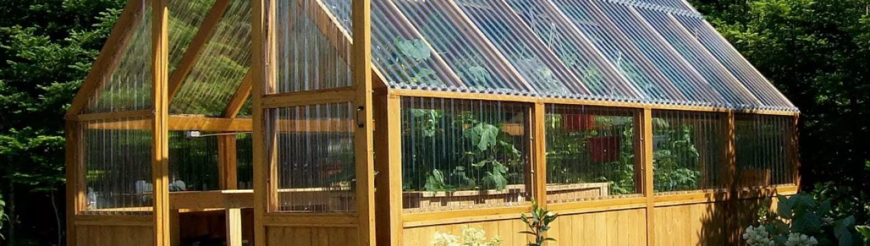 Теплиця узбецьких аграріїв заважає жителям Бершаді