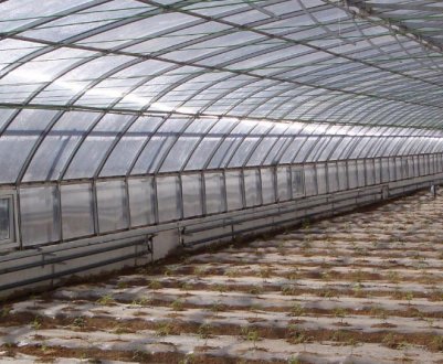 Характеристика та основні особливості китайської теплиці