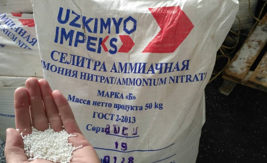 чем подкармливать черешню летом. Смотреть фото чем подкармливать черешню летом. Смотреть картинку чем подкармливать черешню летом. Картинка про чем подкармливать черешню летом. Фото чем подкармливать черешню летом