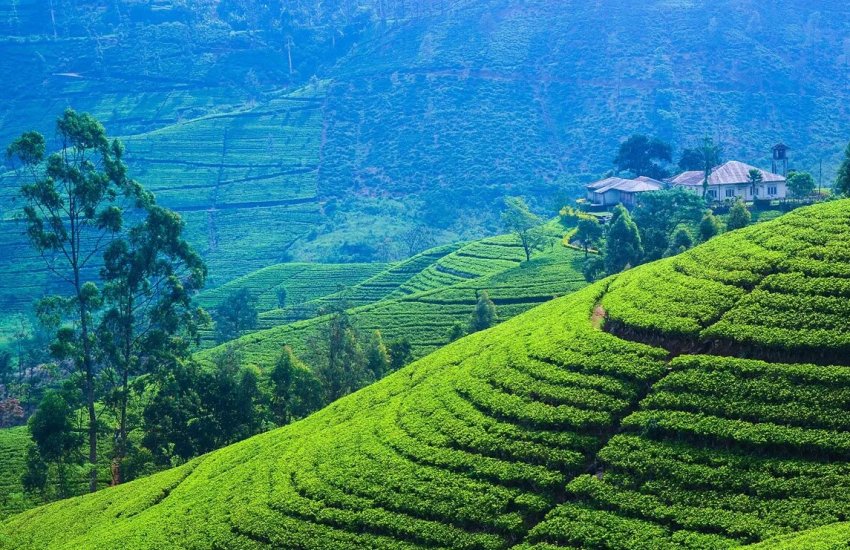Давня ДНК розповіла, що землеробство в Британію завезено з Європи Давня ДНК розповіла, що землеробство в Британію завезено з Європи