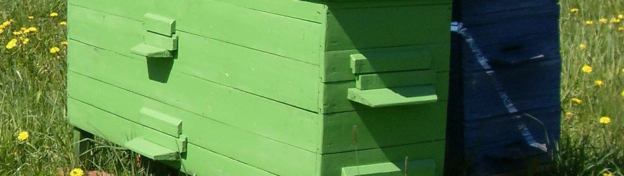 Будівля українського вулика своїми руками