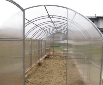 Характеристика та особливості теплиці «Кремлівська казка»