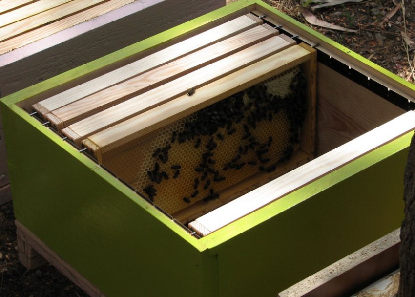 Устаткування всередині вулика