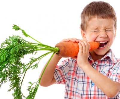 Скільки часу перетравлюється моркву?