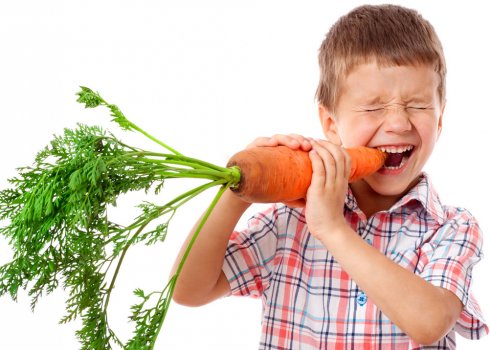 Скільки часу перетравлюється моркву?