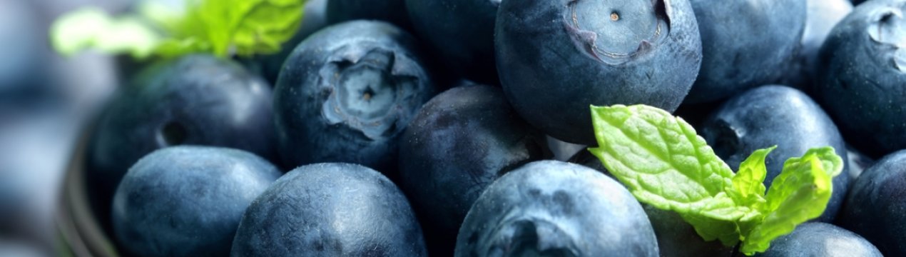 Український виробник органічних ягід зареєстрував власну торгову марку BigBlue organic farm blueberry