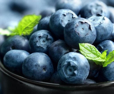 Український виробник органічних ягід зареєстрував власну торгову марку BigBlue organic farm blueberry