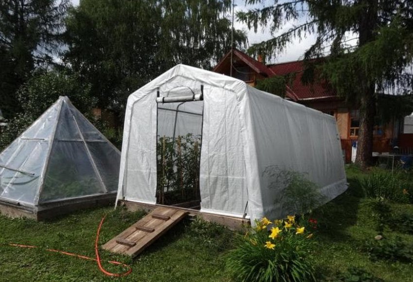 Тентова теплиця Тентова теплиця