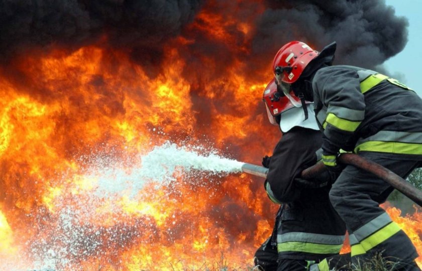 При пожаре во Львовской области погибли 500 сельскохозяйственных животных При пожаре во Львовской области погибли 500 сельскохозяйственных животных