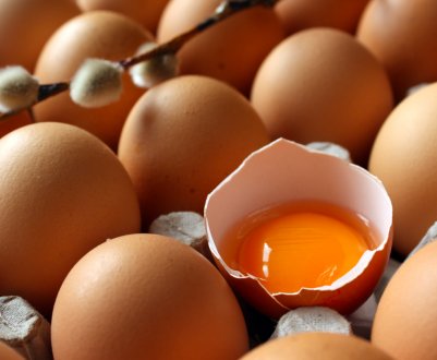 У Британії місцеве населення проти створення «мега-яйцефермы»