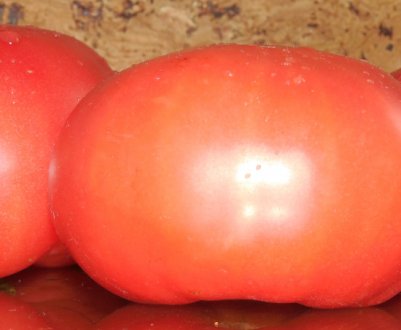 ТОП-8 популярних рожевих сортів томатів для теплиці