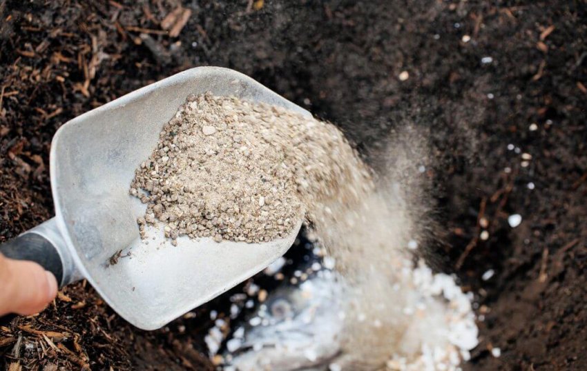 Внесення добрив Внесення добрив