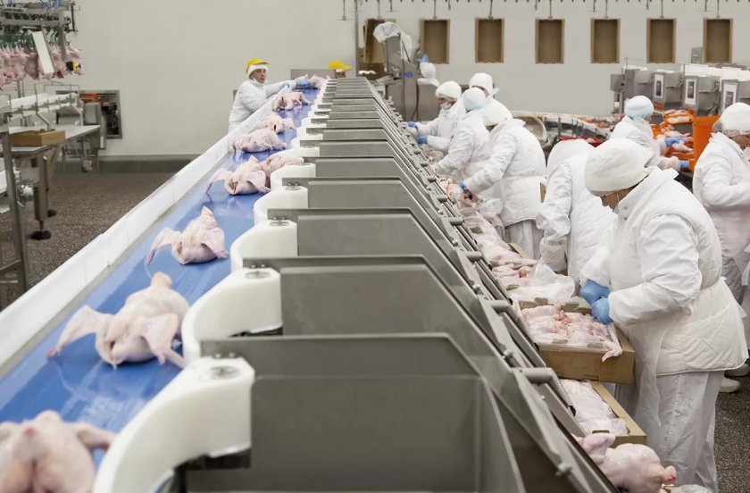 В Северной Ирландии работники крупного завода по производству птичьего мяса проголосуют за потенциальную забастовку В Северной Ирландии работники крупного завода по производству птичьего мяса проголосуют за потенциальную забастовку