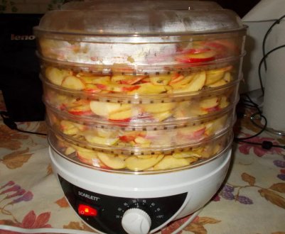Особливості сушіння яблук у електросушарці