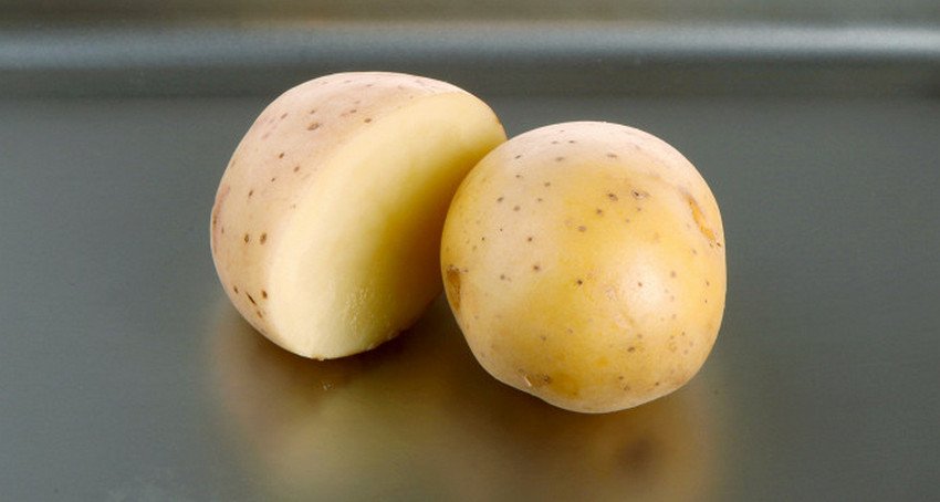 Картопля Аспия Картопля Аспия