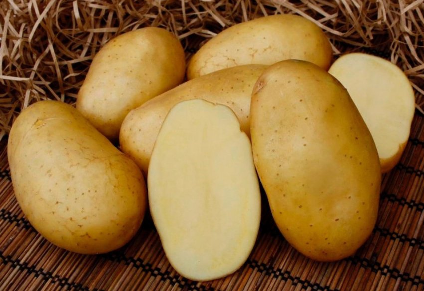 Картопля Фамбо Картопля Фамбо