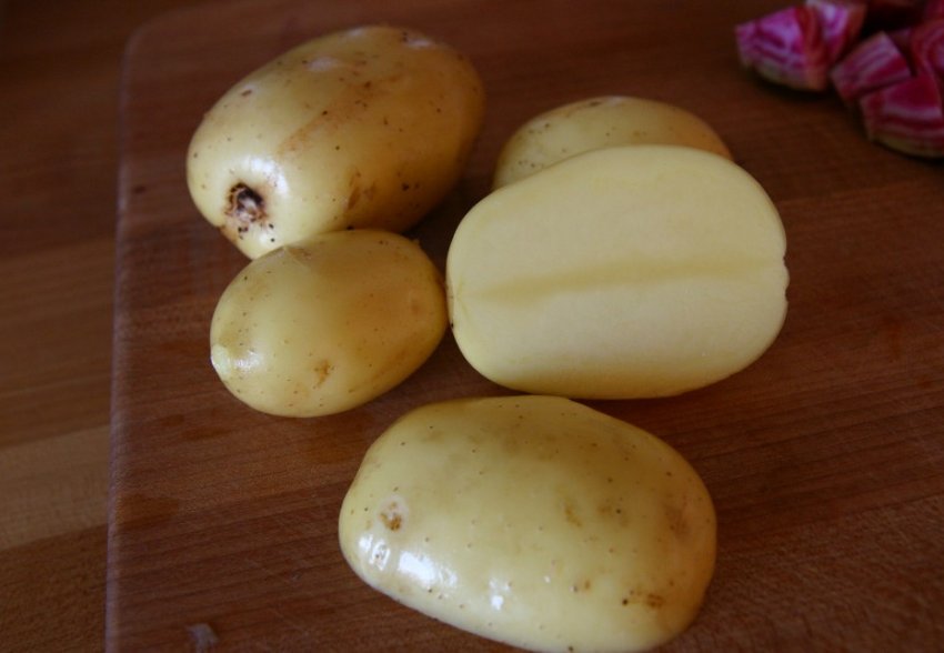 Картопля Монализа Картопля Монализа