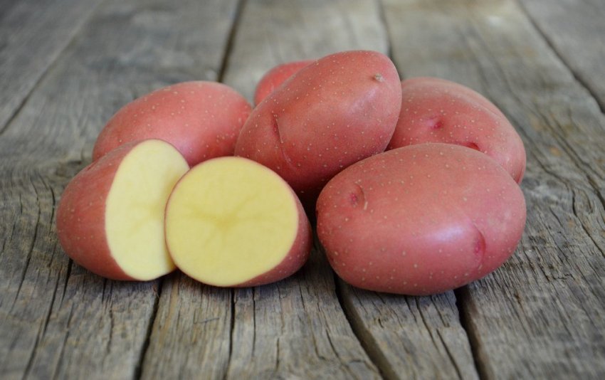 Картопля Розара Картопля Розара