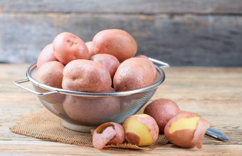 Картопля Дезіре Картопля Дезіре