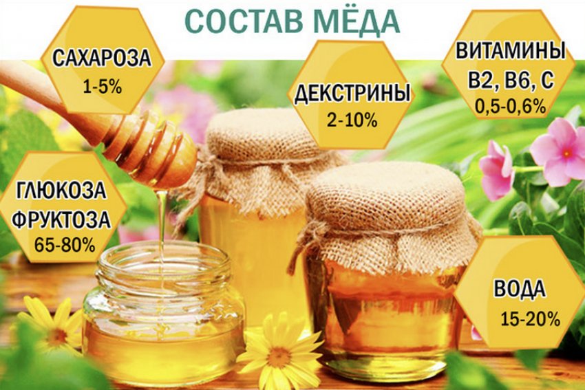 мед монофлерный липовый что это. 66181.pq26b0.850. мед монофлерный липовый что это фото. мед монофлерный липовый что это-66181.pq26b0.850. картинка мед монофлерный липовый что это. картинка 66181.pq26b0.850. Говоря научным языком, слово монофлерный происходит от двух слов: «моно», значит один, и «флора», значит растение. Собственно говоря, Вы, наверно, уже и сами догадались о том, какой вид мёда называют монофлерным. Грубо говоря, это мёд, собранный с одного конкретного растения без посторонних примесей.