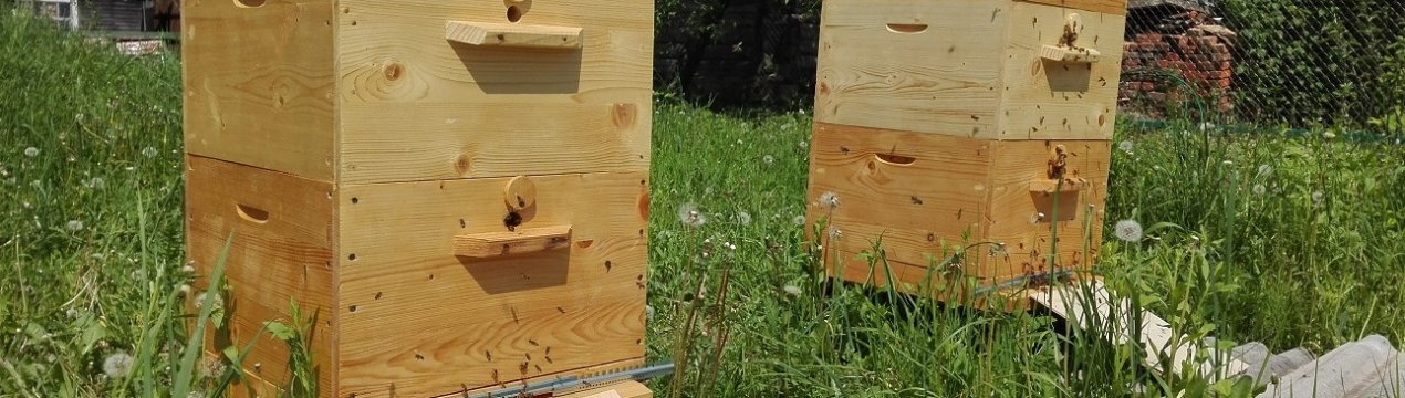 Вентиляція у вулику: особливості, як зробити