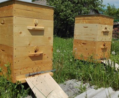 Вентиляція у вулику: особливості, як зробити