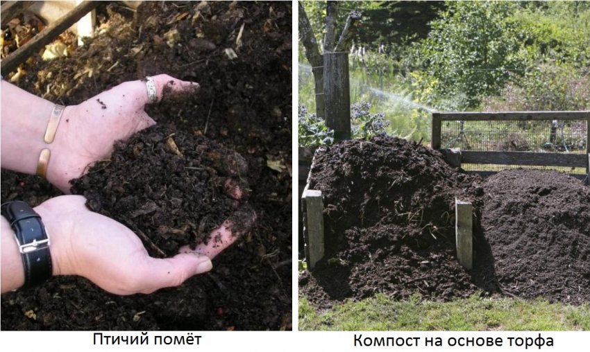 как добавить азот огурцам. Смотреть фото как добавить азот огурцам. Смотреть картинку как добавить азот огурцам. Картинка про как добавить азот огурцам. Фото как добавить азот огурцам