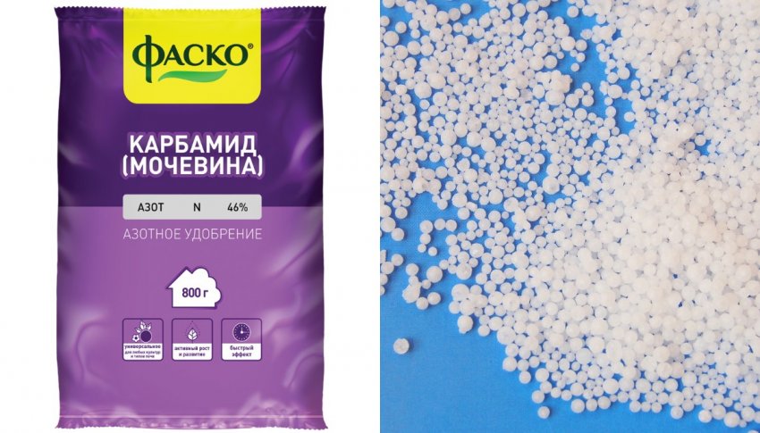 как добавить азот огурцам. Смотреть фото как добавить азот огурцам. Смотреть картинку как добавить азот огурцам. Картинка про как добавить азот огурцам. Фото как добавить азот огурцам
