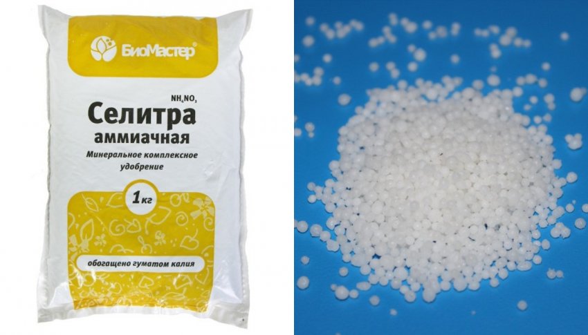 как добавить азот огурцам. Смотреть фото как добавить азот огурцам. Смотреть картинку как добавить азот огурцам. Картинка про как добавить азот огурцам. Фото как добавить азот огурцам