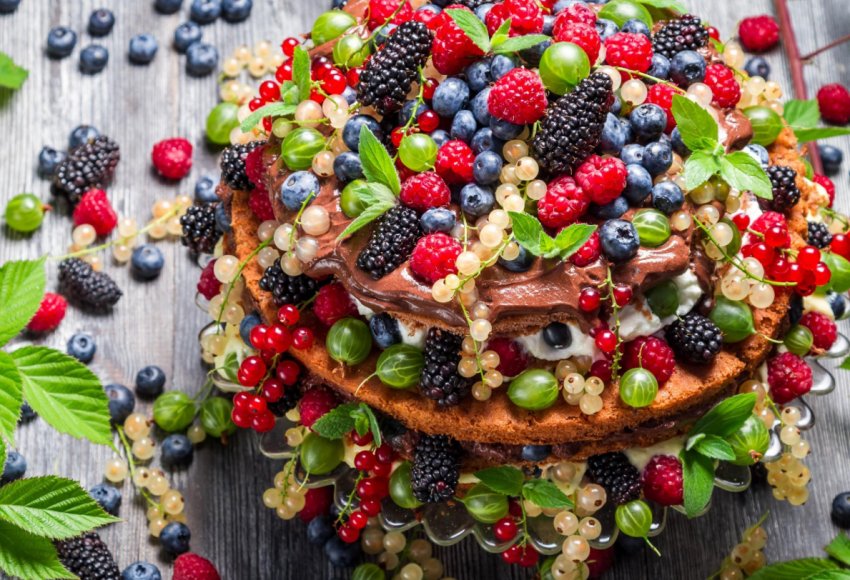 Українські виробники ягід будуть поставляти свою продукцію в навчальні заклади країни