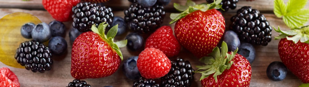 Українські виробники ягід будуть поставляти свою продукцію в навчальні заклади країни