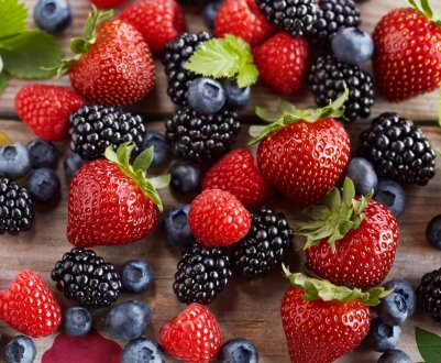 Українські виробники ягід будуть поставляти свою продукцію в навчальні заклади країни