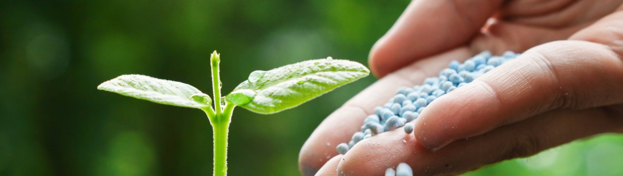 Перша партія недорогих добрив з Румунії вже в Україні