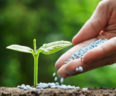 Перша партія недорогих добрив з Румунії вже в Україні