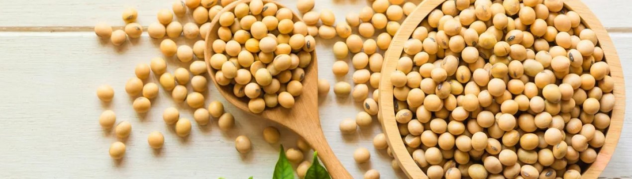 Аргентині прогнозують зниження виробництва сої