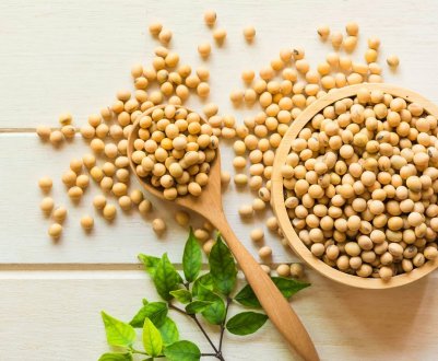 Аргентині прогнозують зниження виробництва сої