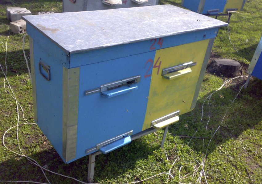 Український вулик