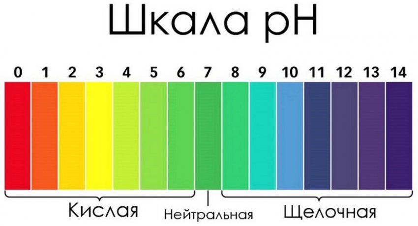 Шкала кислотності грунту Шкала кислотності грунту
