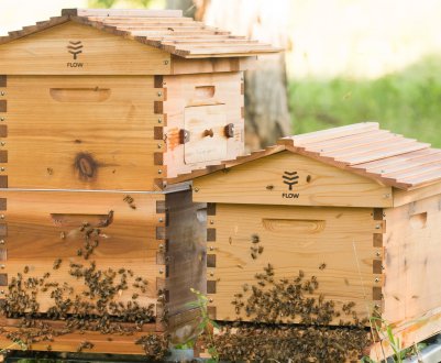 Головні особливості 8-рамкових вуликів