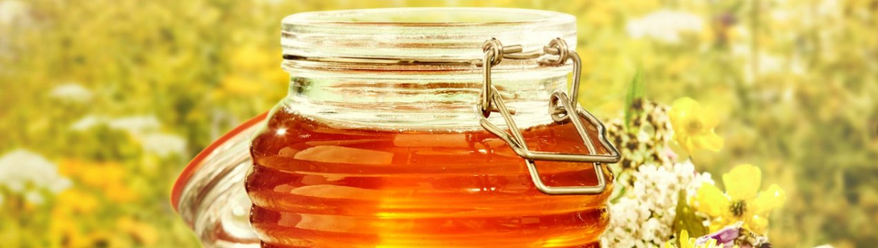 Особливості лугового меду