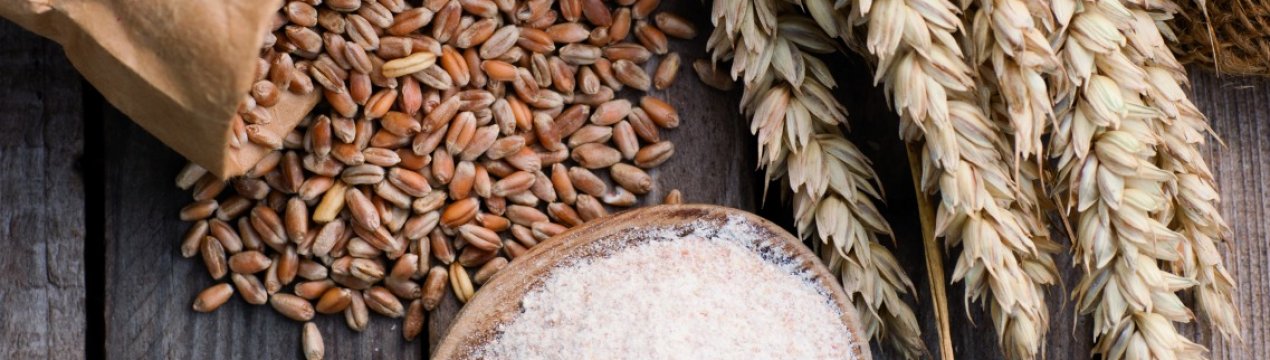 Гарна погода допоможе Росії вибитися в лідери зернові