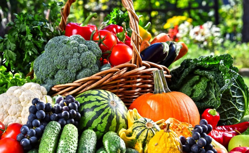 Рацион жителей Алтая пополнится супами и компотами из киргизских продуктов Рацион жителей Алтая пополнится супами и компотами из киргизских продуктов