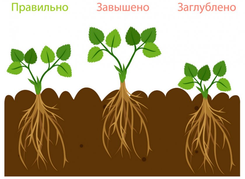 Глубина посадки Глубина посадки