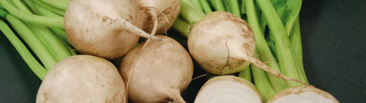 Посіви цукрових буряків в Україні не постраждали від похолодання