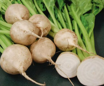 Посіви цукрових буряків в Україні не постраждали від похолодання